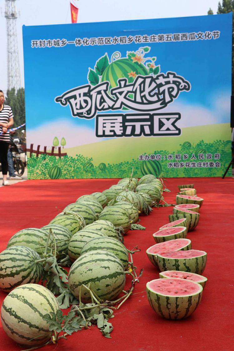 汴梁头条开封市水稻乡花生庄第五届西瓜文化节上诞生新瓜王