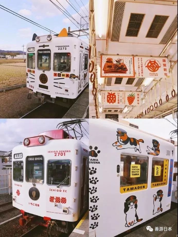 日本猫咪列车