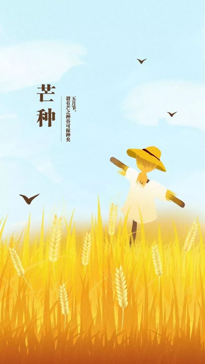 关于芒种时节的民俗也是丰富多彩的,最为古老的便是送花神了,芒种一过