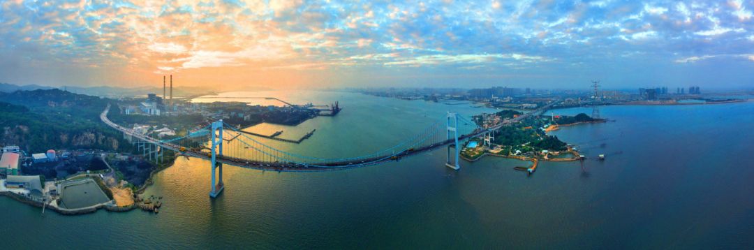 拍到中华白海豚来汕头湾做客了