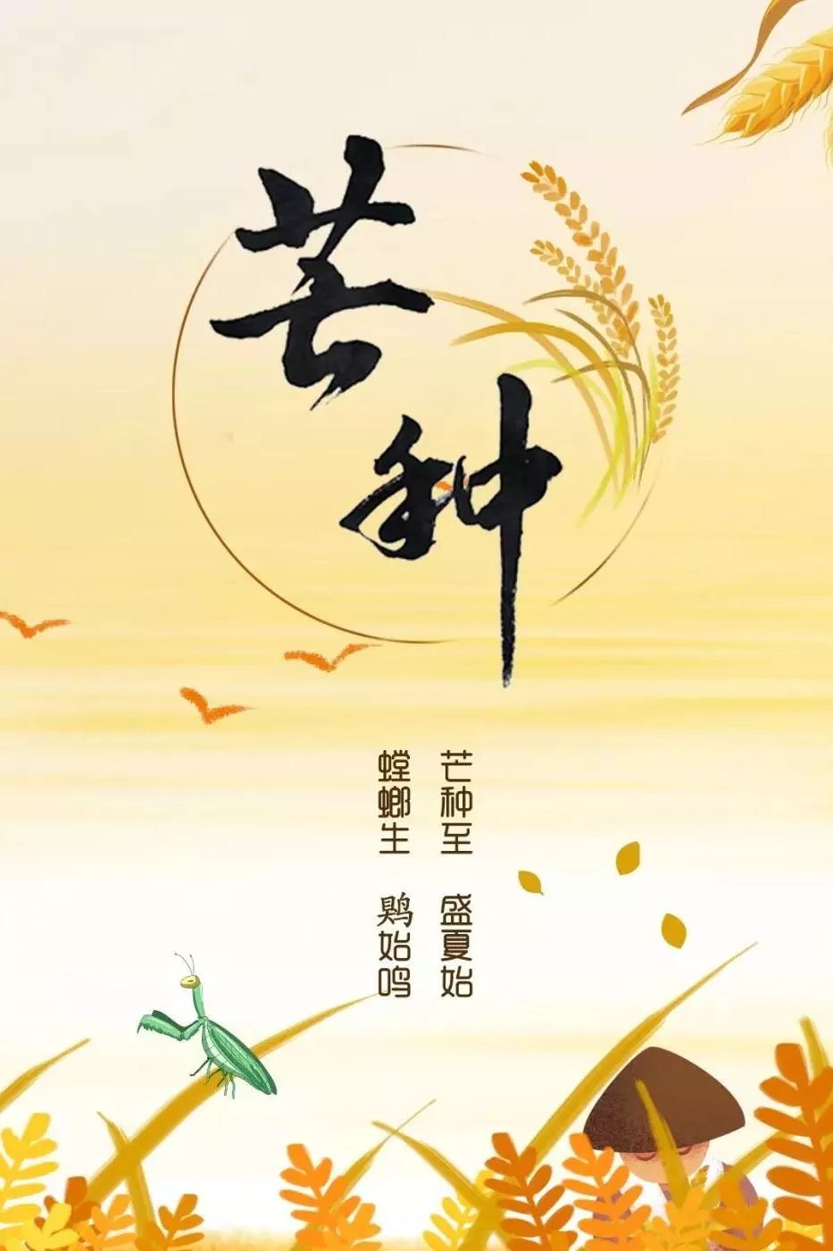 今日芒种!忙而不茫 播种希望