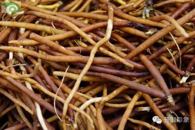 端午节普洱菜市变药市百种药根你能识几种