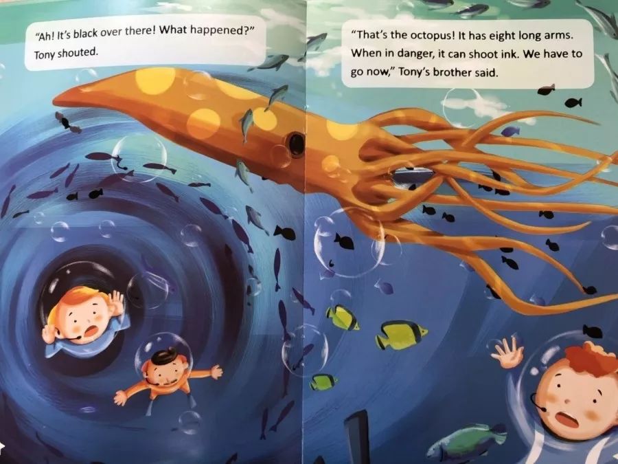 国际理解教育61小海豚英文电台|第22期:fun in the sea_托尼