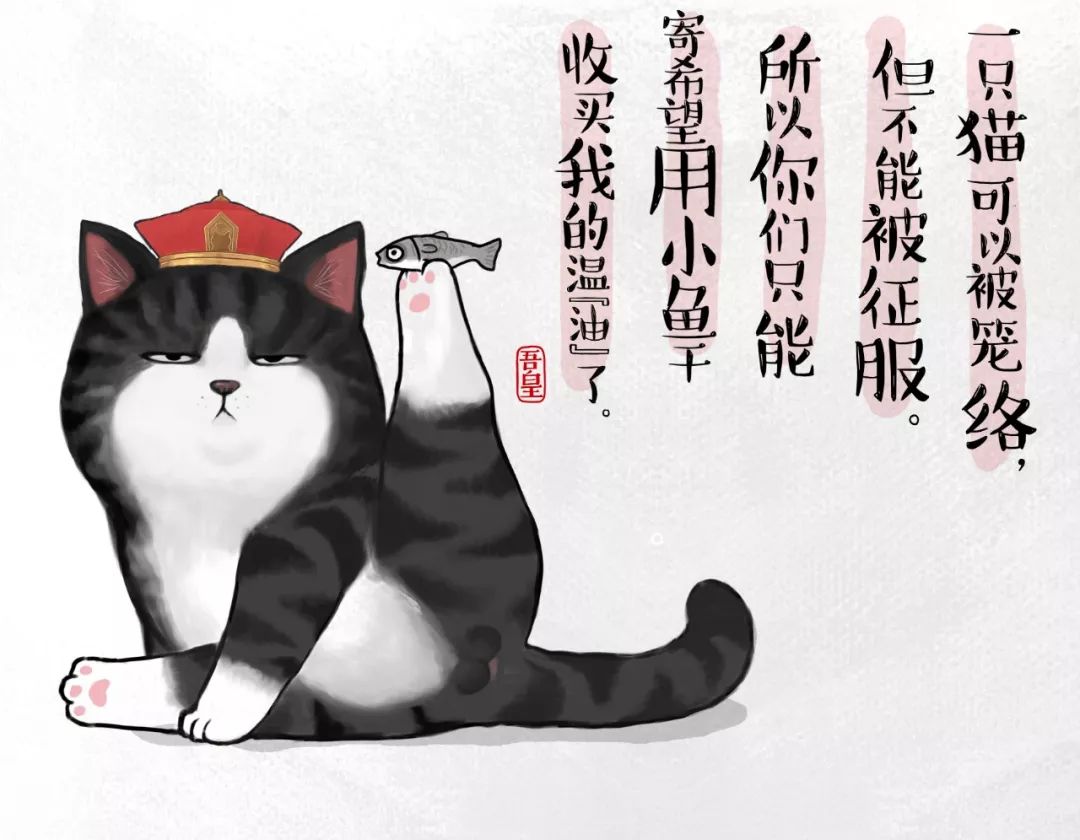 吾皇巴扎黑的爸爸来啦超气人铲屎官白茶专访星球talk