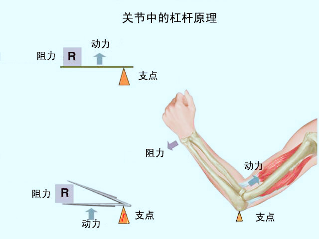 杠杆原理示意图画法图片