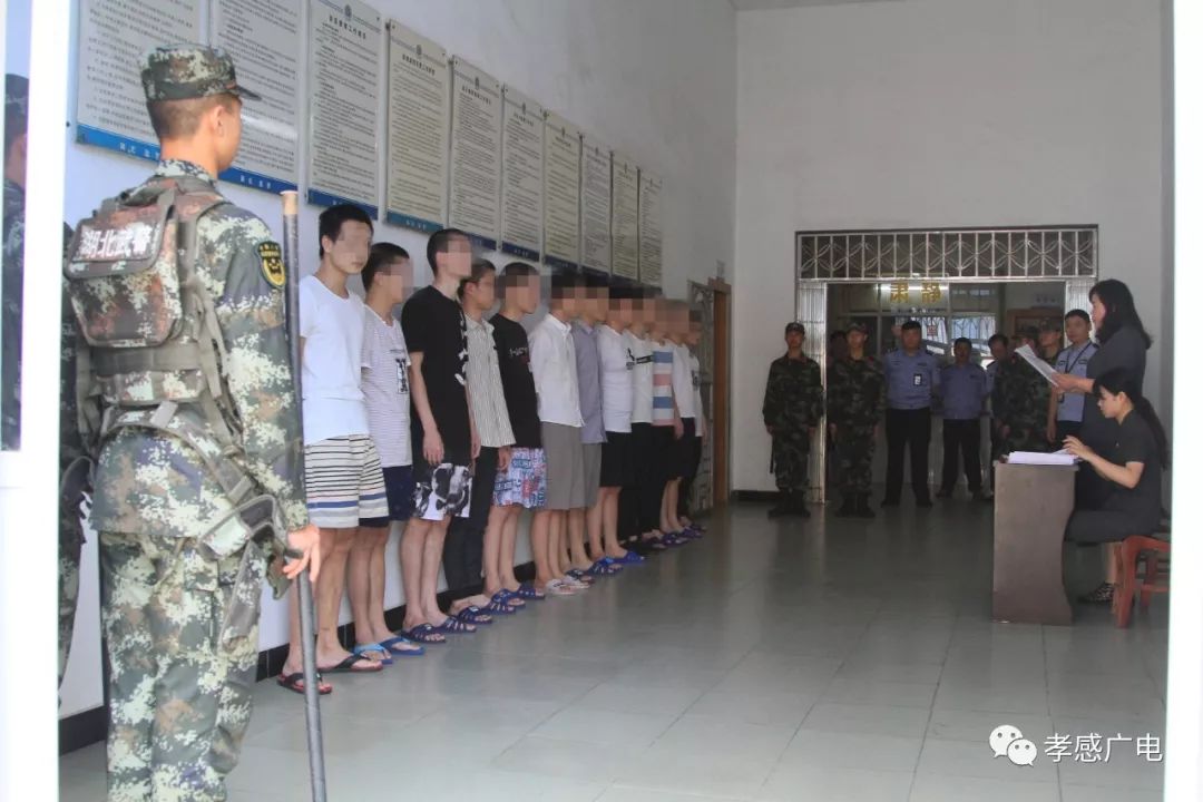 大快人心孝感扫黑除恶严打电信网络诈骗成果突出