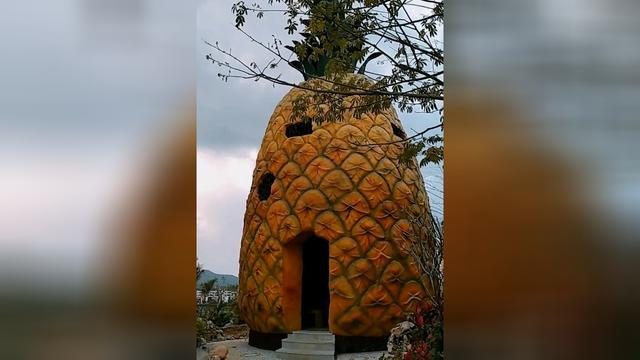 菠萝形状的房子让我想起了海绵宝宝