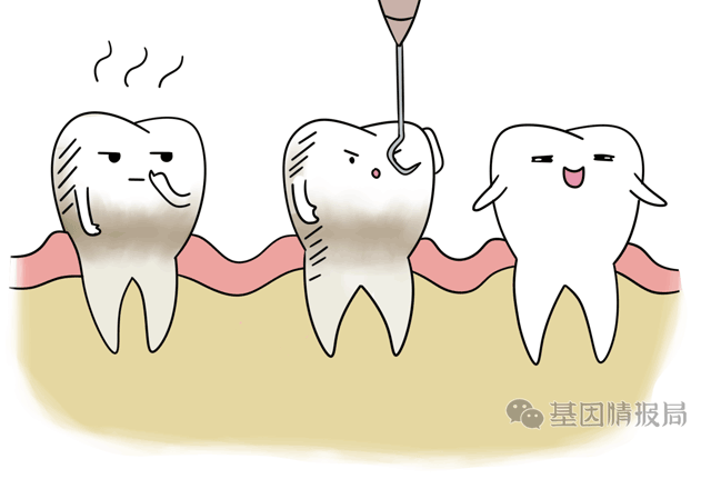 漫画科普老了会掉牙这种说法已经老掉牙了