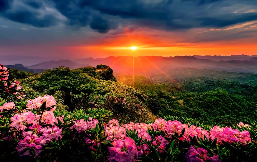 赏析绿水青山美丽画卷美丽中国我是行动者生态环保主题摄影大赛获奖