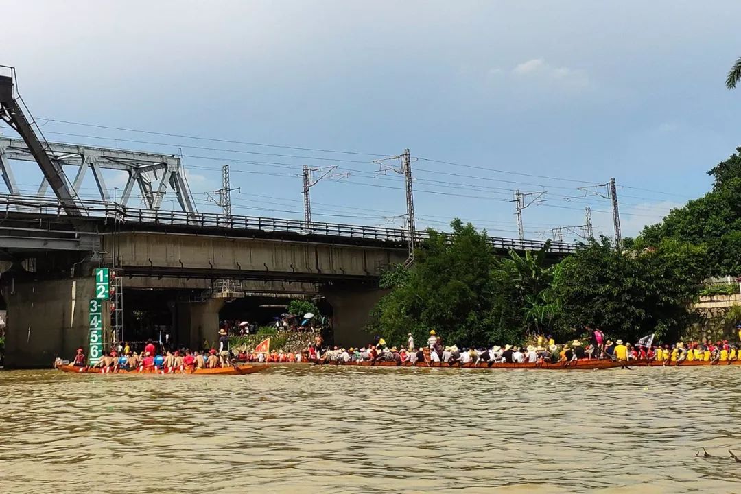 浓情端午增城新塘石滩龙舟活动今日刷屏朋友圈