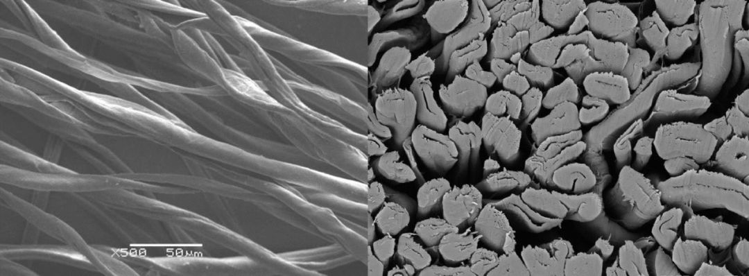 也就是说,一般的纱线湿了,只是表面沾水,而棉纱线湿了,则纤维内部都