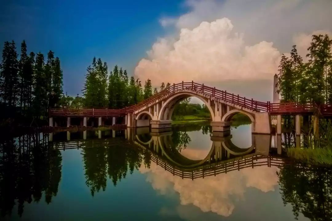 青白江促进新媒体发展放大招啦欢迎参与