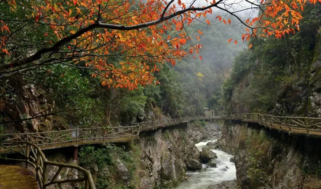 泰顺雅阳大峡谷图片