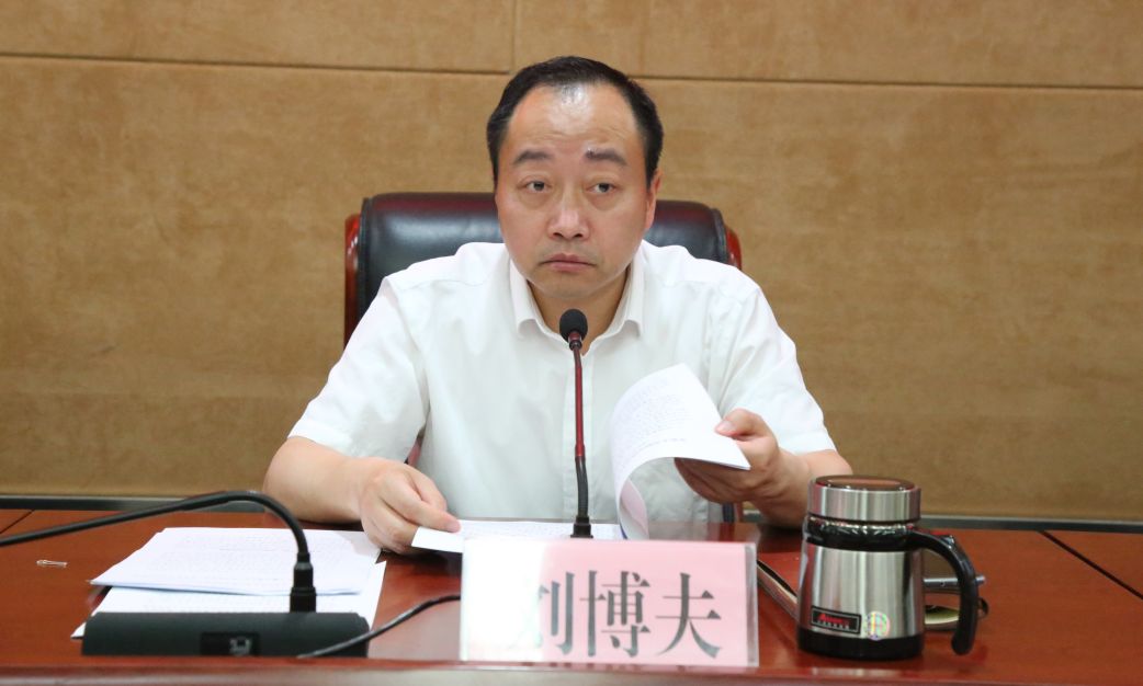 县委常委,常务副县长武云峰,县委常委,副县长朱峰,县委常委,灵城镇