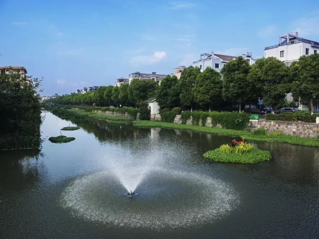 两美义蓬工作持续推进环境整治加码发力