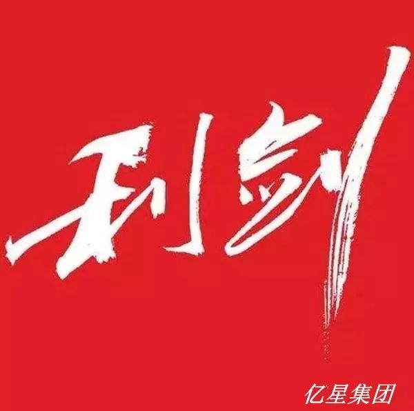 利剑出鞘审计在行动三