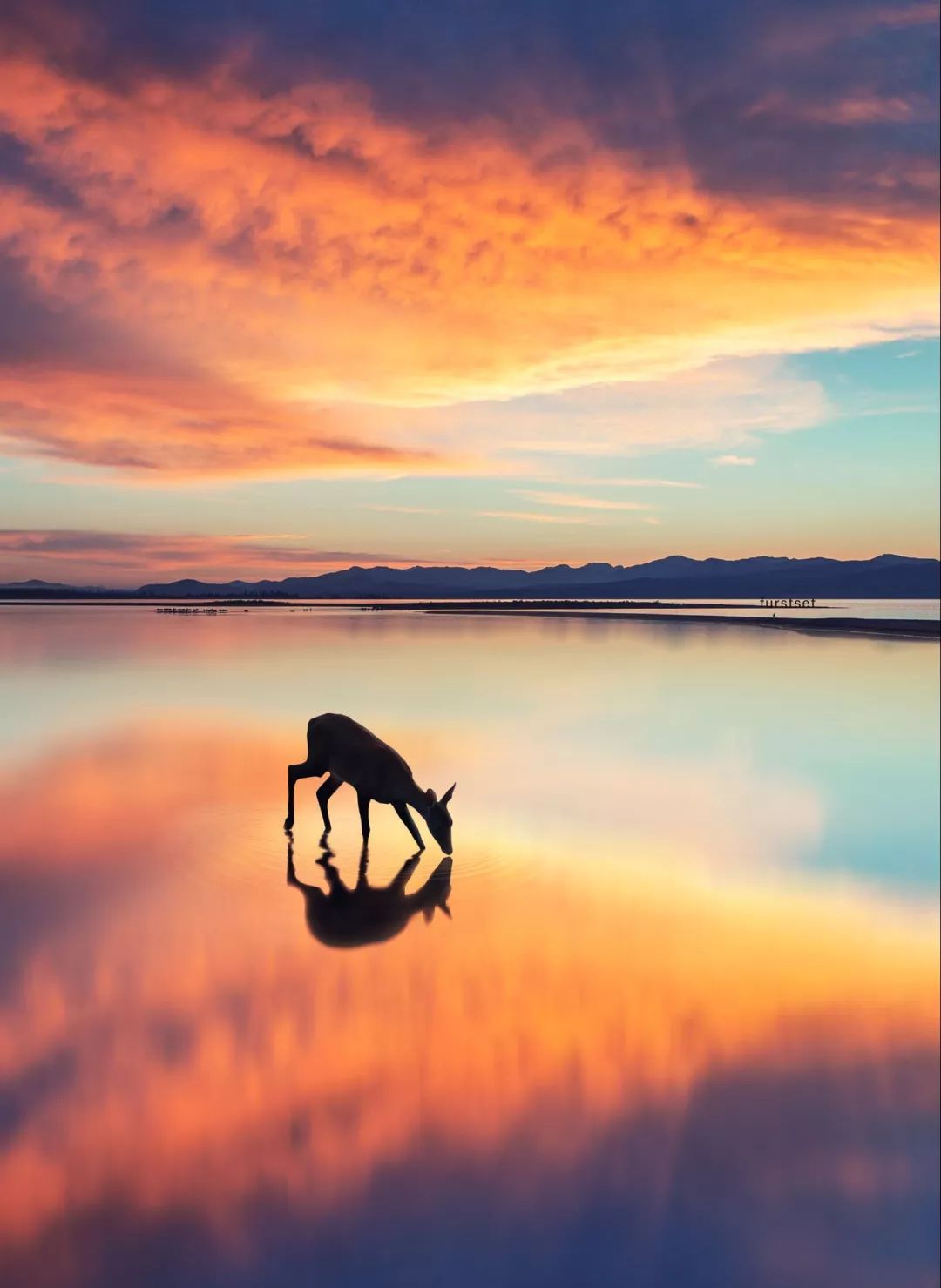 必杀技10招拍出有意境的倒影