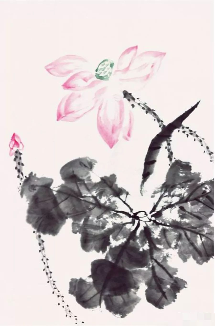 图文教程写意荷花清水出芙蓉步骤详解