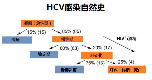 东台院感事件,重新认识丙肝