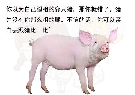 笑话:朋友们相约去郊外参加放鸽子比赛,结果就我一个人去了