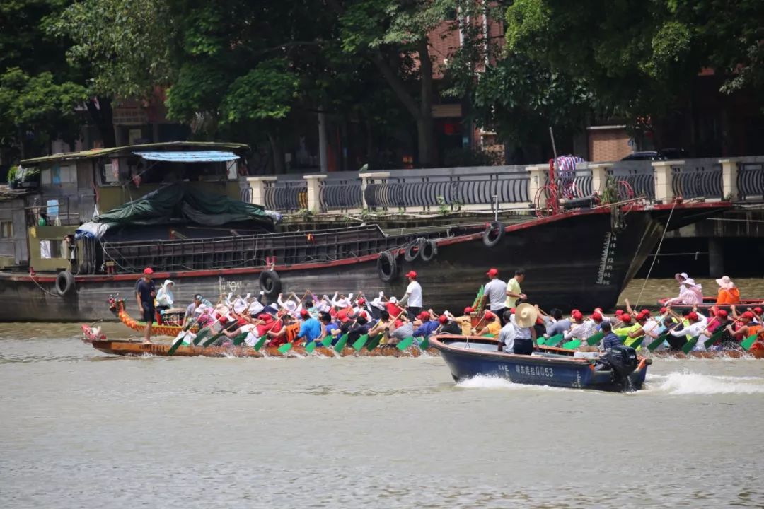 上午8点不到,各村龙舟队已经开始训练,积极备战五月十六的麻涌龙船景.