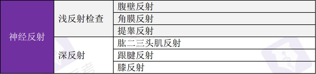 病理反射3脑膜刺激征封面:站酷海洛 plus