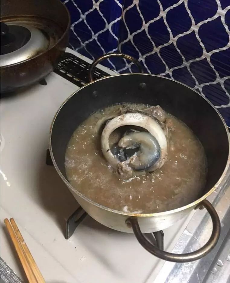 把这个眼睛放在锅里炖是真的吓人