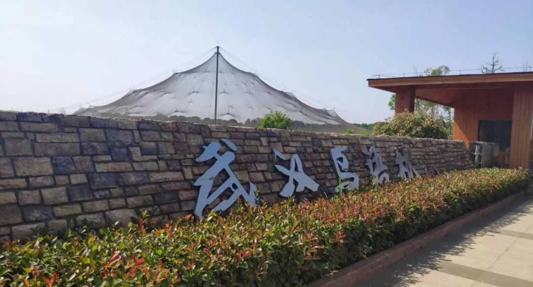 武汉鸟语林又救助放飞国家保护鸟类