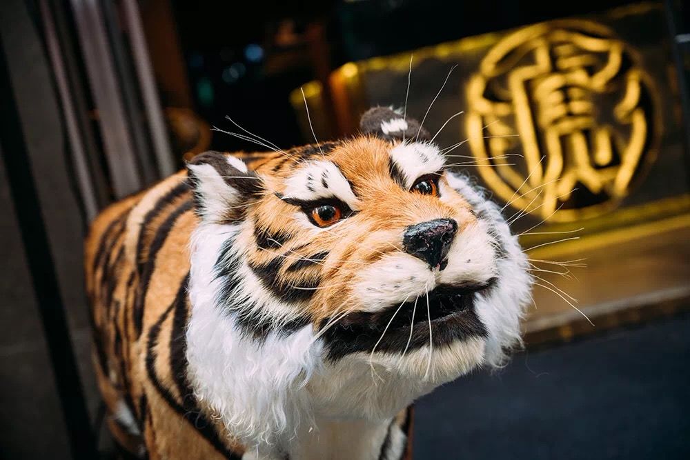 端午节最佳票圈组合粽子配网红老虎山奶茶