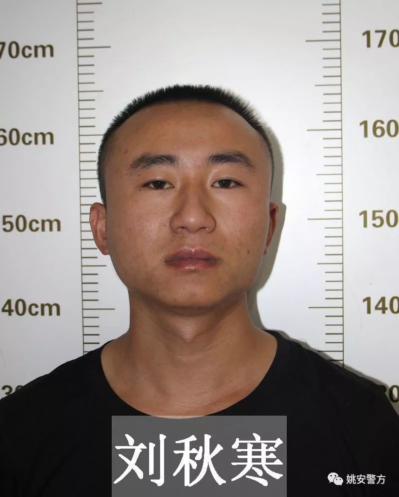 扫黑除恶8人被刑事拘留楚雄姚安打掉一恶势力团伙征集违法犯罪线索