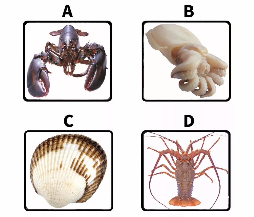 5,"一年长一尺,十年长一丈,二十年超过老龙王.