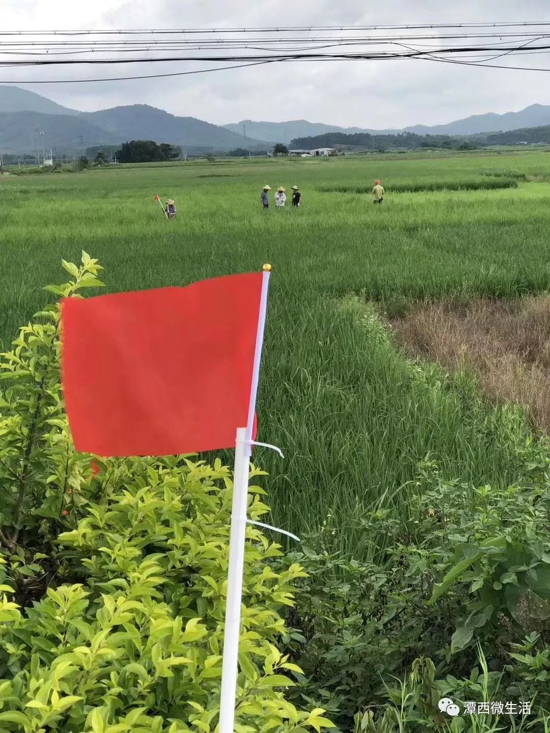 重磅省道s510陆丰河西至西南段改建工程已开始界线