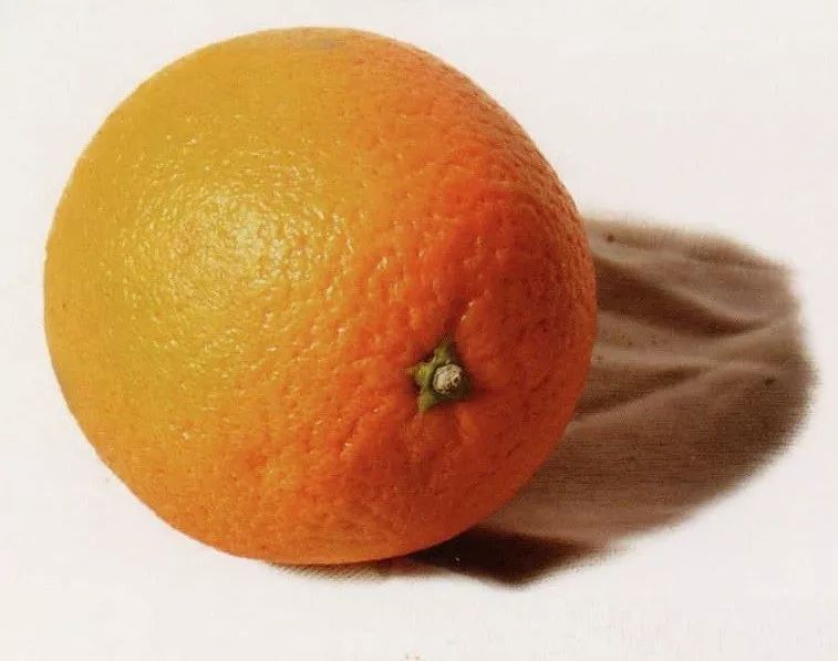 超强干货丨全网最全面的橙子色彩静物教程