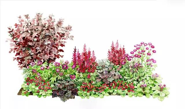 101张超高清精品手绘花境惊艳你的视觉