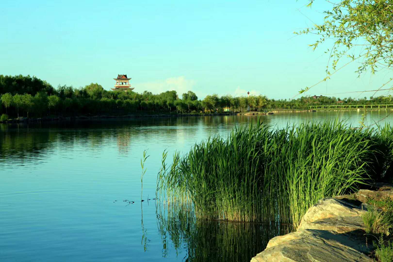 吉林大安嫩江湾国家湿地公园,了解一下.