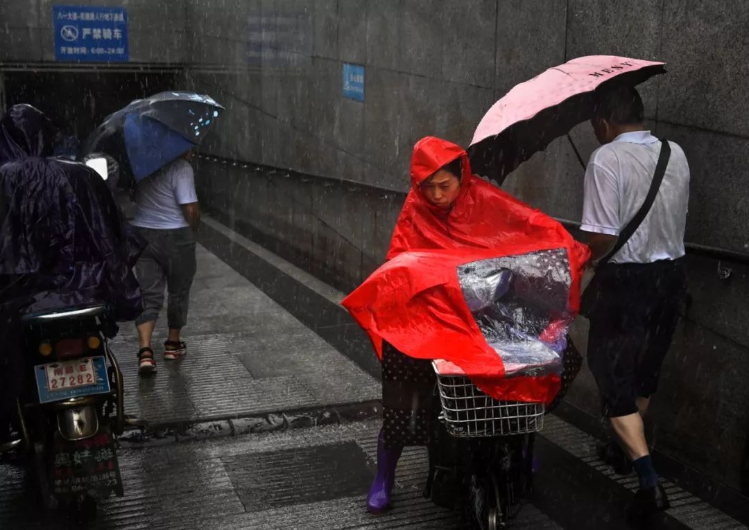 风雨扫荡图片