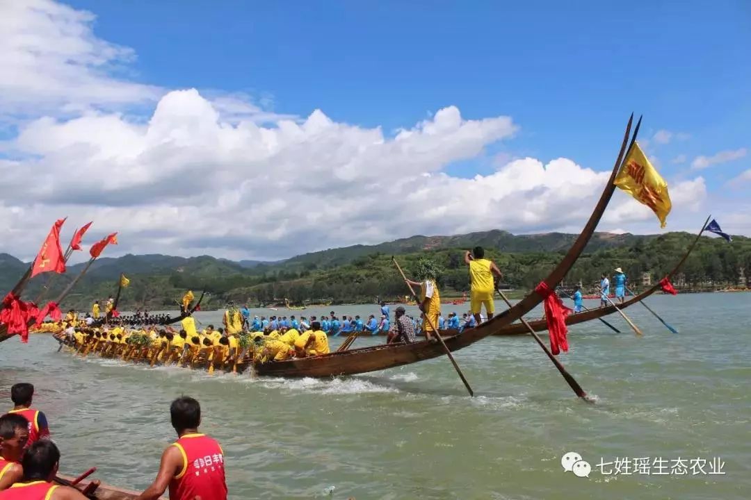 魅力辰溪|燕尾闹沅江 手机摄世界——黄溪口镇首届"七姓瑶杯"端午燕尾