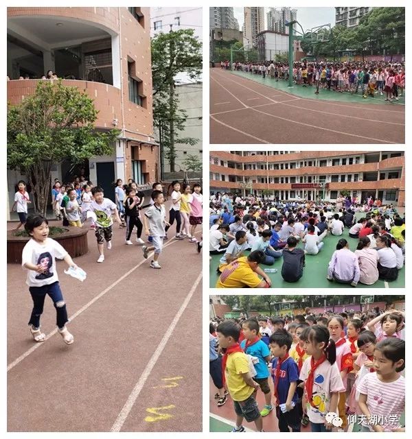 安全周记仰天湖小学2019年春季校园安全周记第14周第16周