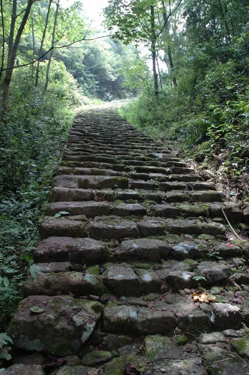 石径岭南麓自山脚至山顶隘口这条路十分陡峭,从山脚仰望山顶,崎岖小路