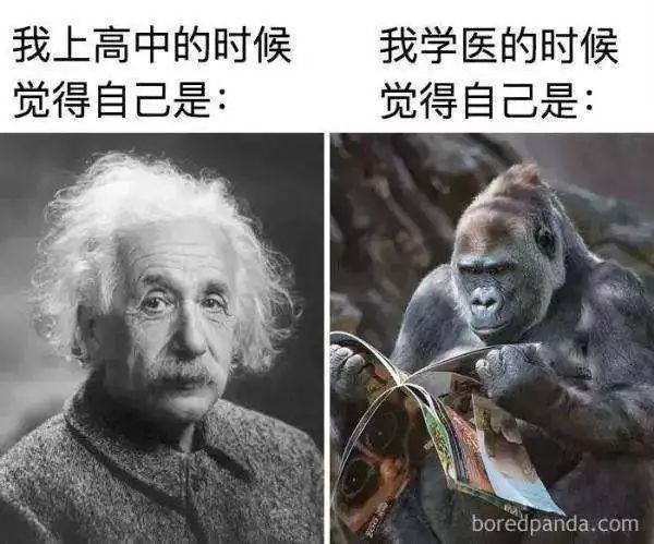 学医表情包 好累图片