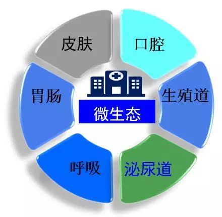 肠道微生态那些事儿_细菌