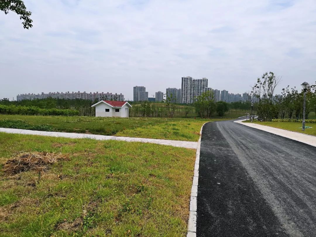 67顾村公园三期未开放区域宝安公路近潘泾新建九年一贯制学校羌家村