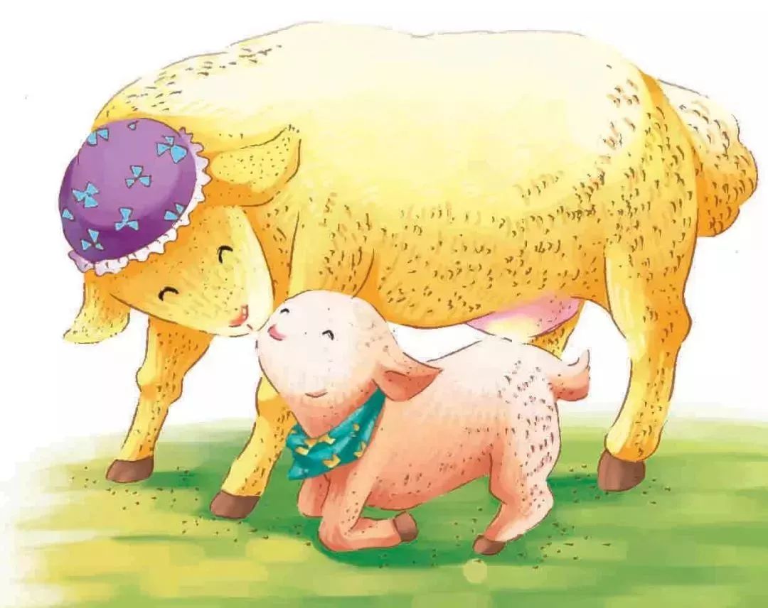 还有8幢重量级建筑——羊舍,羊舍里的湖羊采用全封闭养殖,无异味,无