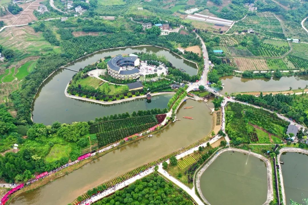 加强旅游休闲与传统文化有机融合,打造油溪龙舟文化旅游品牌,油溪镇在
