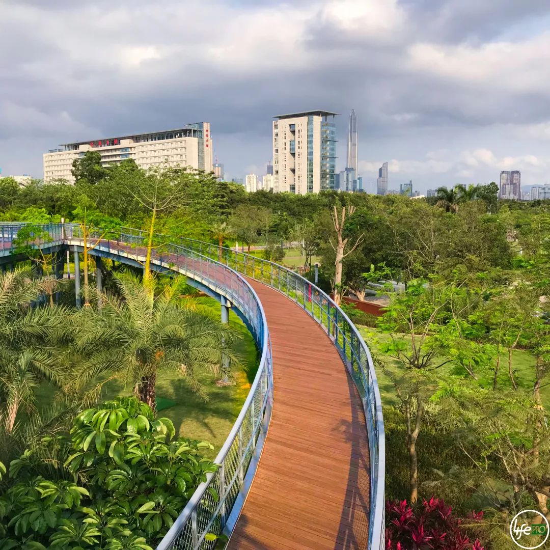 文末红包福利深圳最美的水上彩虹婚姻登记处看完立马想结婚