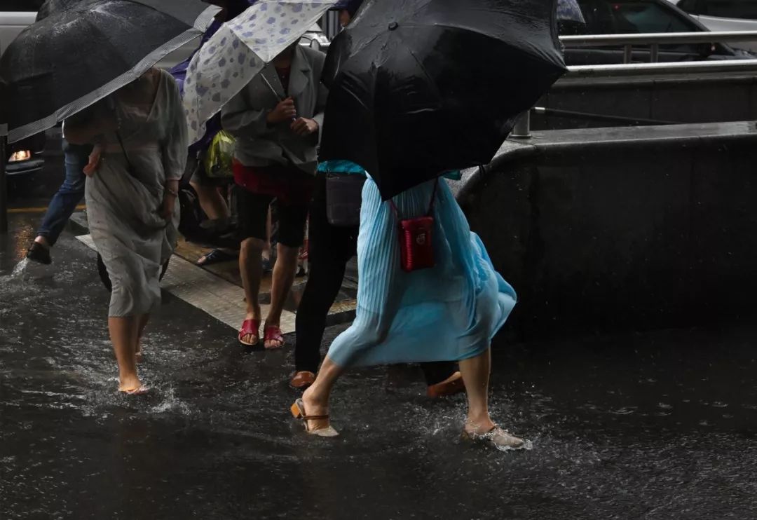 致敬在暴雨中前行的人