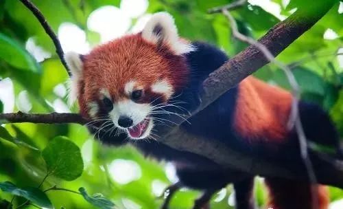 全民戏水季冰爽来袭特价75元人6月1516日约伴五龙山响水河精彩一日游