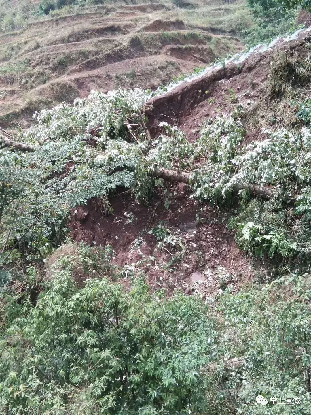 宣威杨柳倘塘发生特大冰雹灾害损失惨重