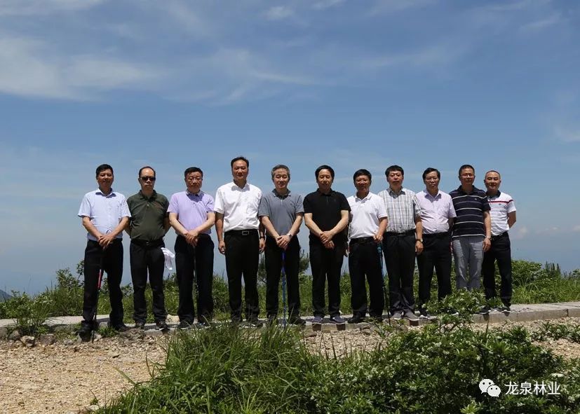 丽水市政府副市长杨秀清,丽水国家公园创建办主任廖永平,市领导王顺发