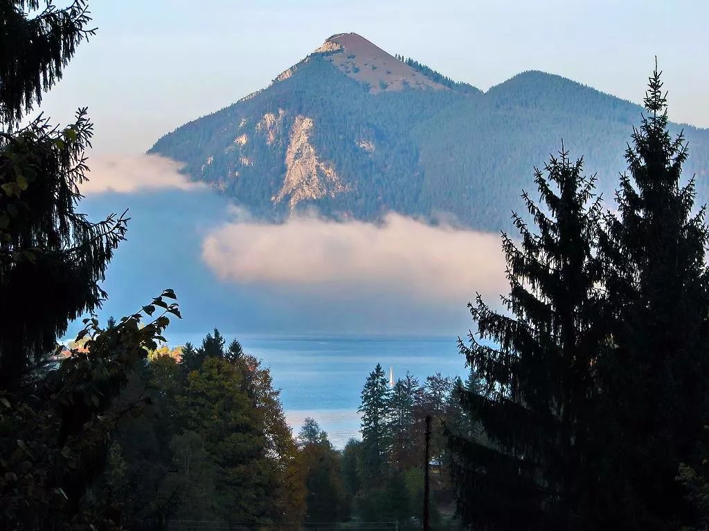 以前景树木形成的v形构图结合三角形构图的山脉,使画面极富变化,也更